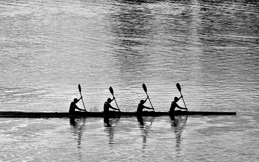 Équipe d'aviron synchronisée : cadeaux pour motiver les salariés et renforcer les équipes